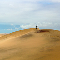 1月30日 - 納米比沙漠
