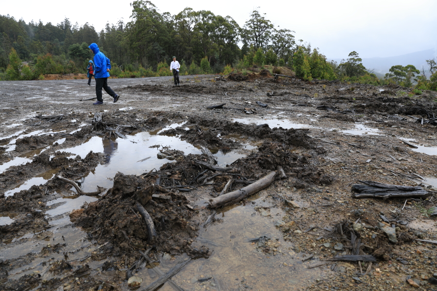 [103rd Cruise Report]Hobart (Tasmania) Learning about nature