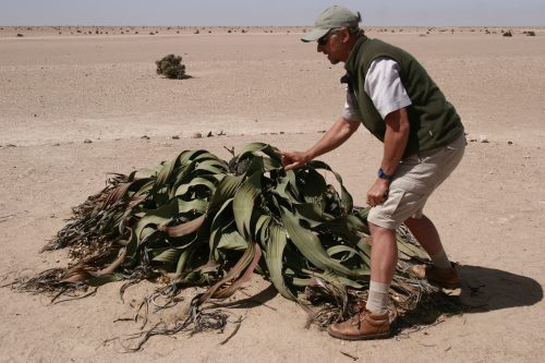 The Country Of The World S Oldest Desert And Its Endless Amazing Sights Part 2 Peace Boat Around The World Cruise