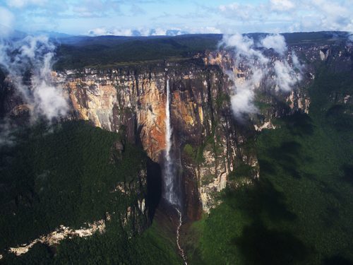 The  rainforest: The wonders of Earth's most unexplored